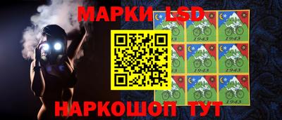 бошки Славгород